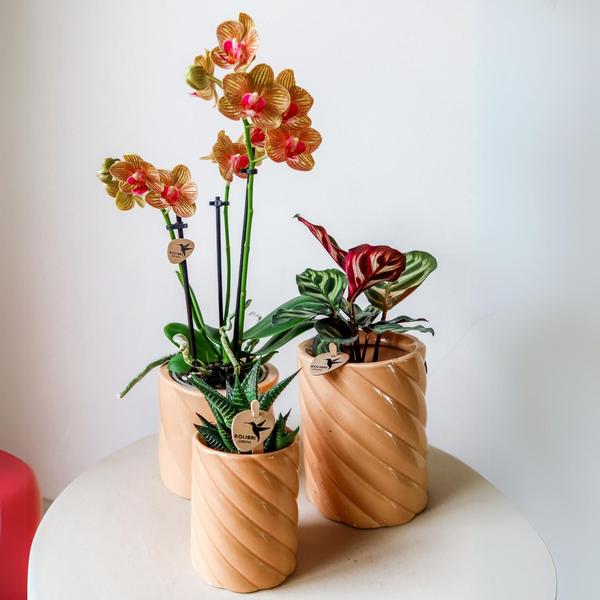 Kolibri Home | Candy sierpot | Hoog - Peach - Ø9cm  BotanicBridge