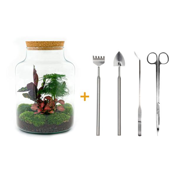 DIY terrarium - Milky - ↕ 30 cm - Rake + Shovel + Tweezer + Scissors  BotanicBridge