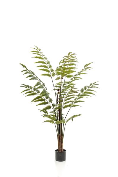 Kunstplant - Rumohra Adiantiformis - Ledervaren - 150 cm  BotanicBridge