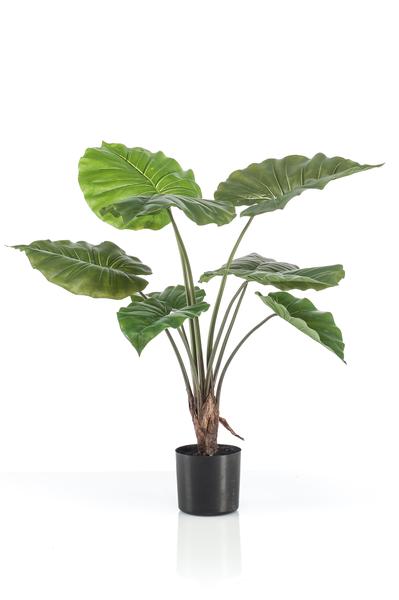 Kunstplant - Alocasia - Olifantsoor - 70 cm  BotanicBridge