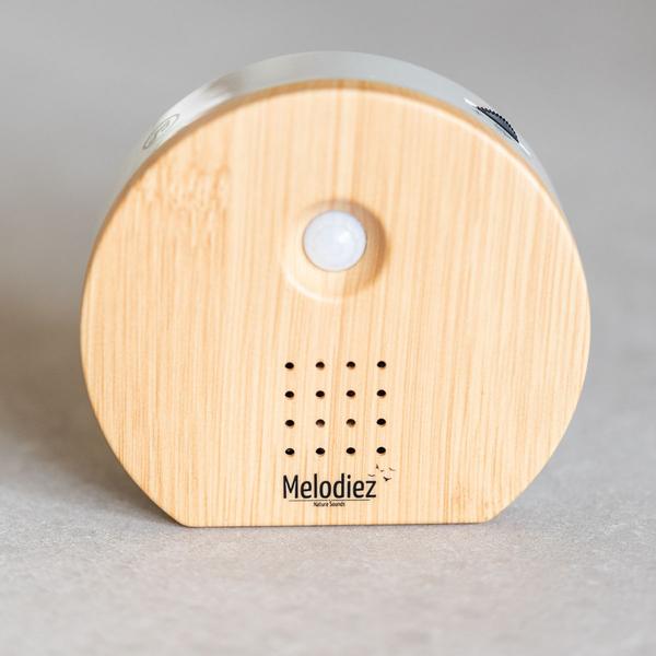 Melodiez music box  - Hout  BotanicBridge