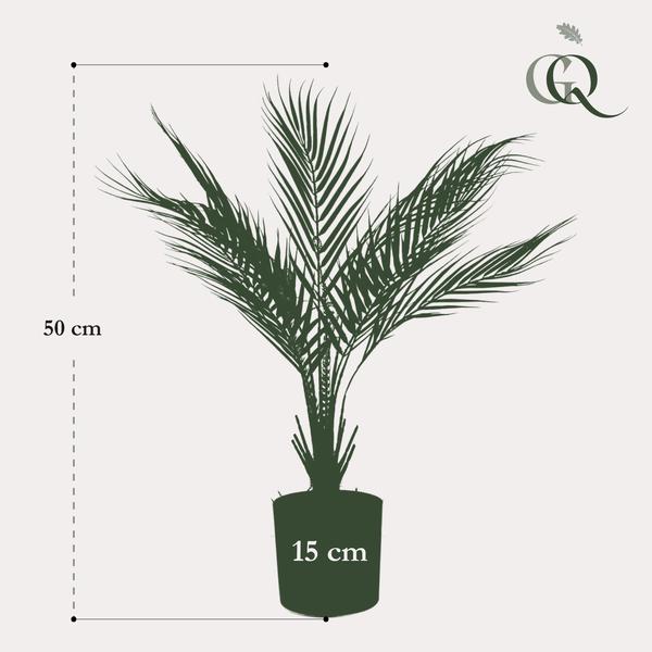 Kunstplant - Chamaedorea - Bergpalm - 50 cm  BotanicBridge