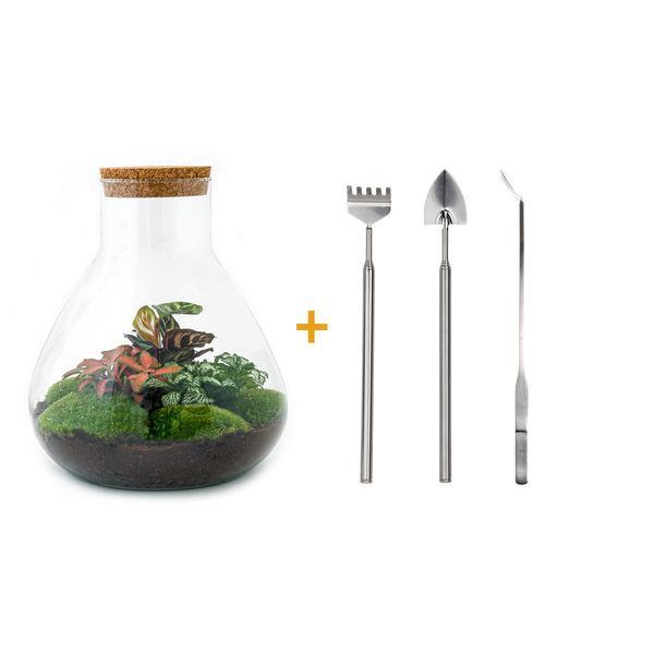 DIY terrarium - Sam XL Rood - ↕ 35 cm - Rake + Shovel + Tweezer  BotanicBridge