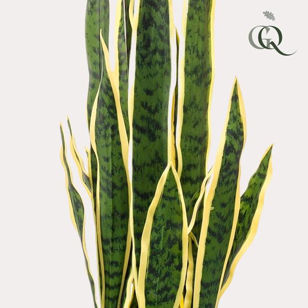 Kunstplant - Sanseveria Trifasciata - Vrouwentong - 97 cm  BotanicBridge