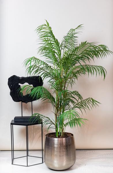 Kunstplant - Chamaedorea Elegans - Bergpalm - 120 cm  BotanicBridge