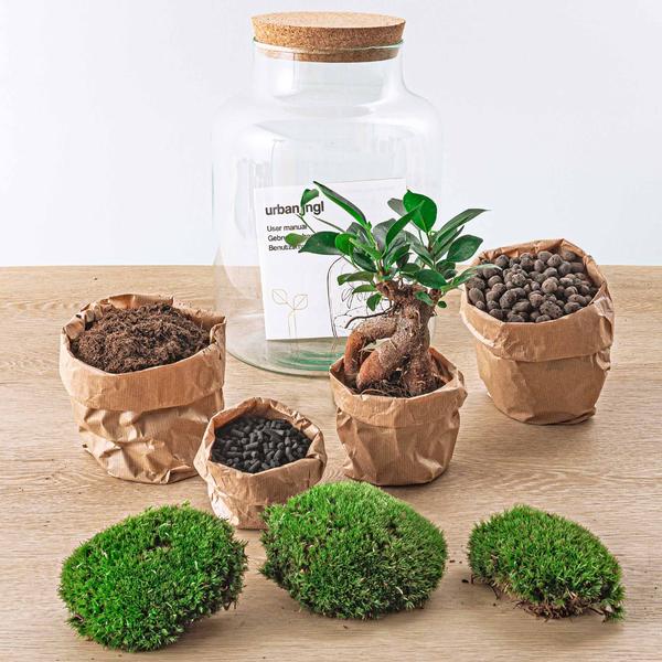 DIY terrarium - Milky met bonsai - ↕ 30 cm  - Rake + Shovel + Tweezer  BotanicBridge