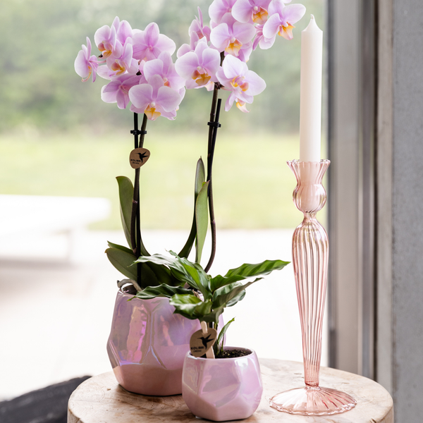 Kolibri Home I Pearl pot - Pink - Ø9cm  BotanicBridge