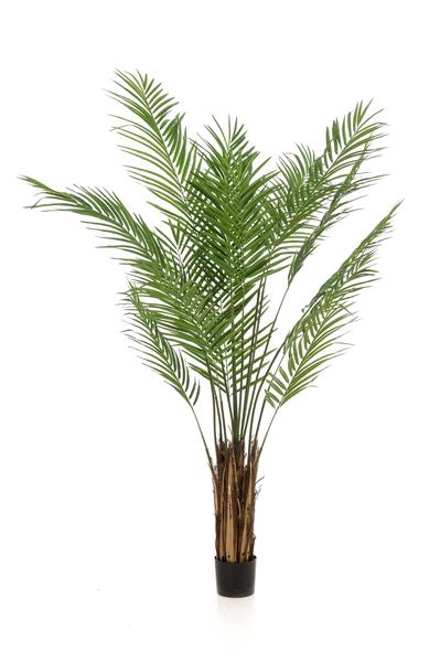 Kunstplant - Areca Lutescens - Goudpalm - 180 cm  BotanicBridge