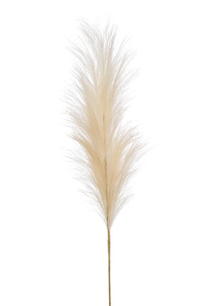 Kunstbloemen Solo - Crème - Pampas Plumes - x 6 - 115cm  BotanicBridge