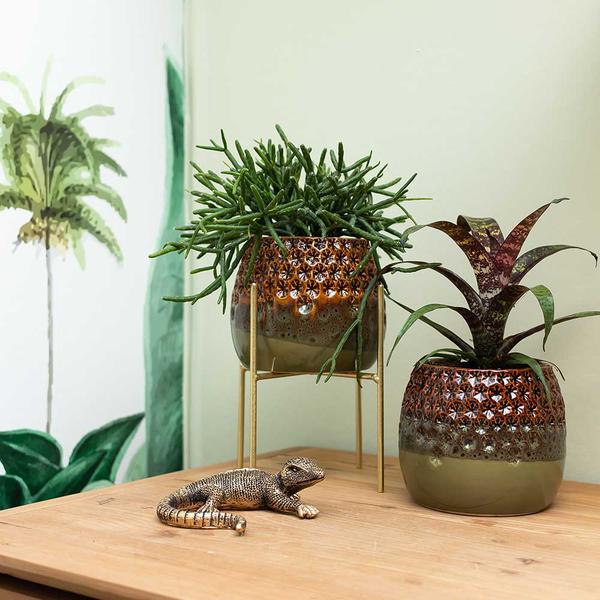 Kolibri Home | Ornament - Zwart/ gouden decoratie Lizard  BotanicBridge