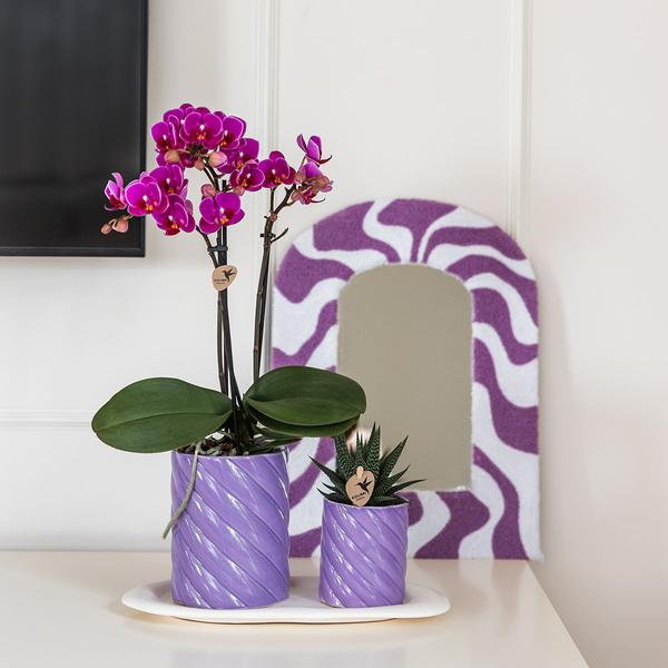 Kolibri Home | Candy sierpot | Hoog - Lilac - Ø9cm  BotanicBridge